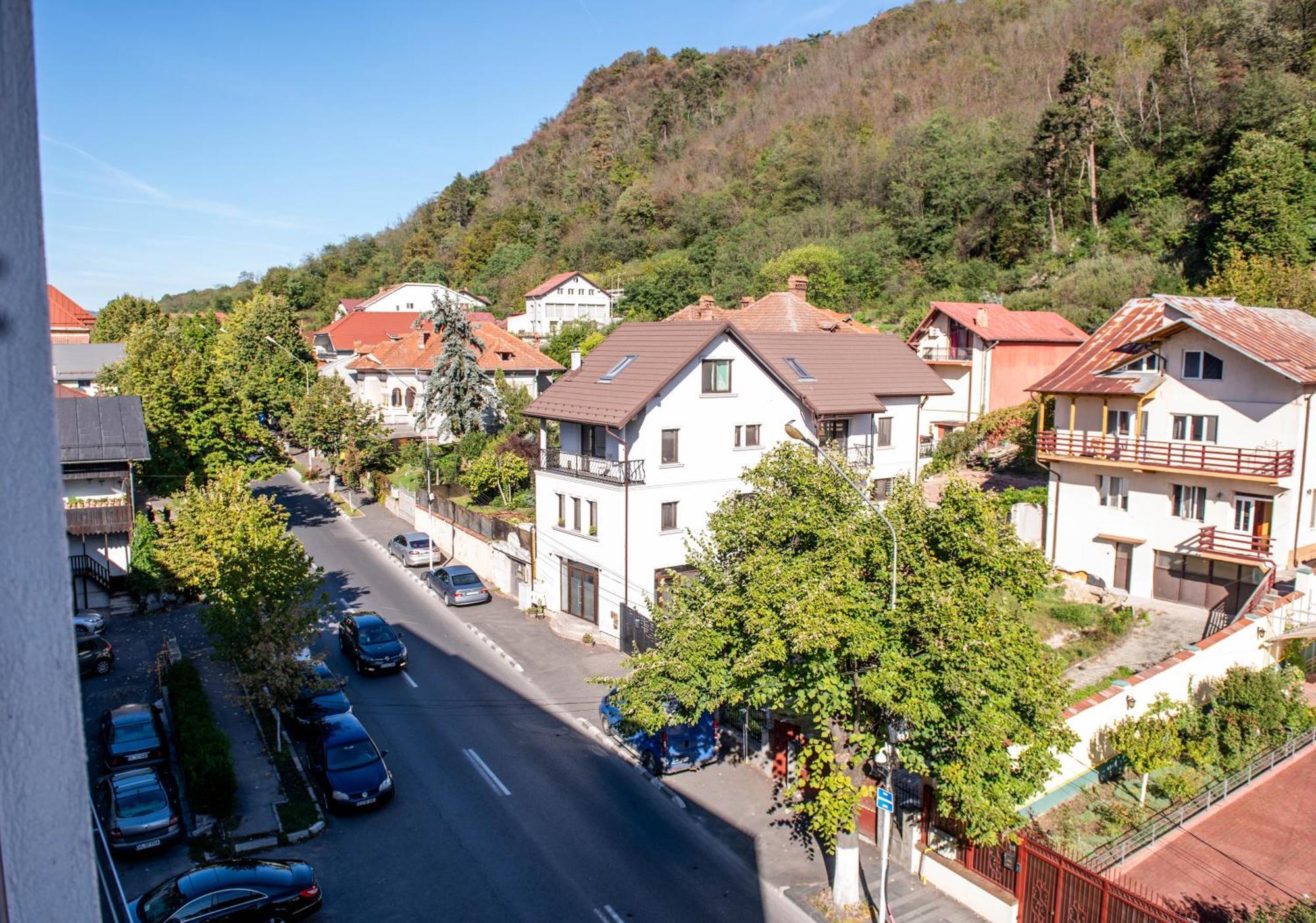 Greenteam Apartment Râmnicu Vâlcea